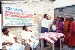 SwineFlu Medicine